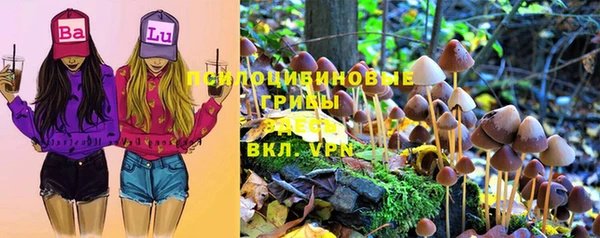 марки lsd Богданович