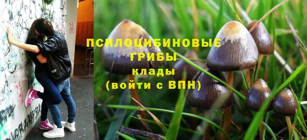 дурь Богородицк
