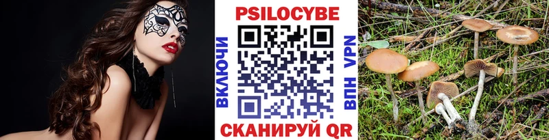 Галлюциногенные грибы прущие грибы  Купить  Севск 